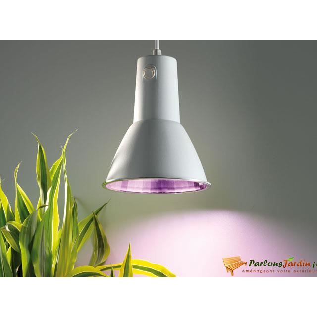 Vente projecteur lampe Lampe de croissance économi?