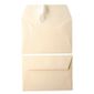  Enveloppe Clairefontaine C6 120g bulle - x20