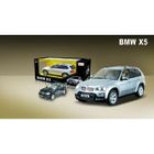 RADIOCOMMANDE TERRESTRE BMW X5 1/14 RTR