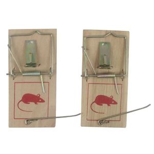 Tapette ? Souris