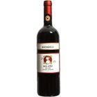 VIN ROUGE Solatio Del Tani Chianti Classico
