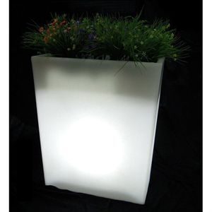 DÉCORATION LUMINEUSE Jardinière lumineuse rectangulaire H70 ampoule E27 DÉCORATION LUMINEUSE Jardinière lumineuse rectangulaire H70 ampoule E27