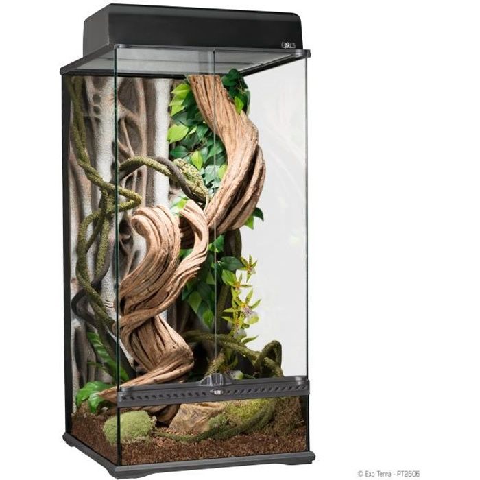 EXO TERRA Terrarium S XTall 45x45x90 cm Achat / Vente vivarium