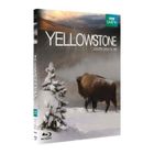 DVD FILM Blu-Ray Yellowstone, la lutte pour la vie
