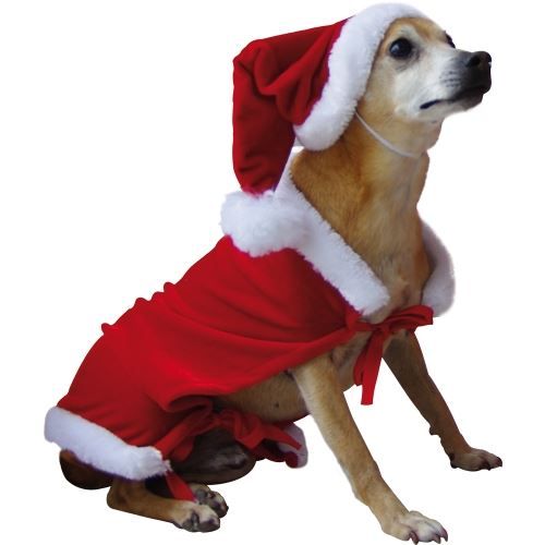 Costume Père Noël pour chien en velours - Achat / Vente déguisement - panoplie - Cdiscount