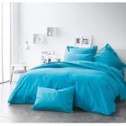 DRAP - DRAP HOUSSE  Drap Plat 240x300 MER DU SUD