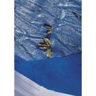  Bâche pour piscine ovale 610x375 anti U.V.A