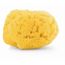 CHICCO Eponge de mer 100 % naturelle