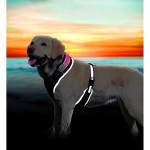 TRIXIE Flash Harnais soft XS?S: 40?50 cm noir pour chien