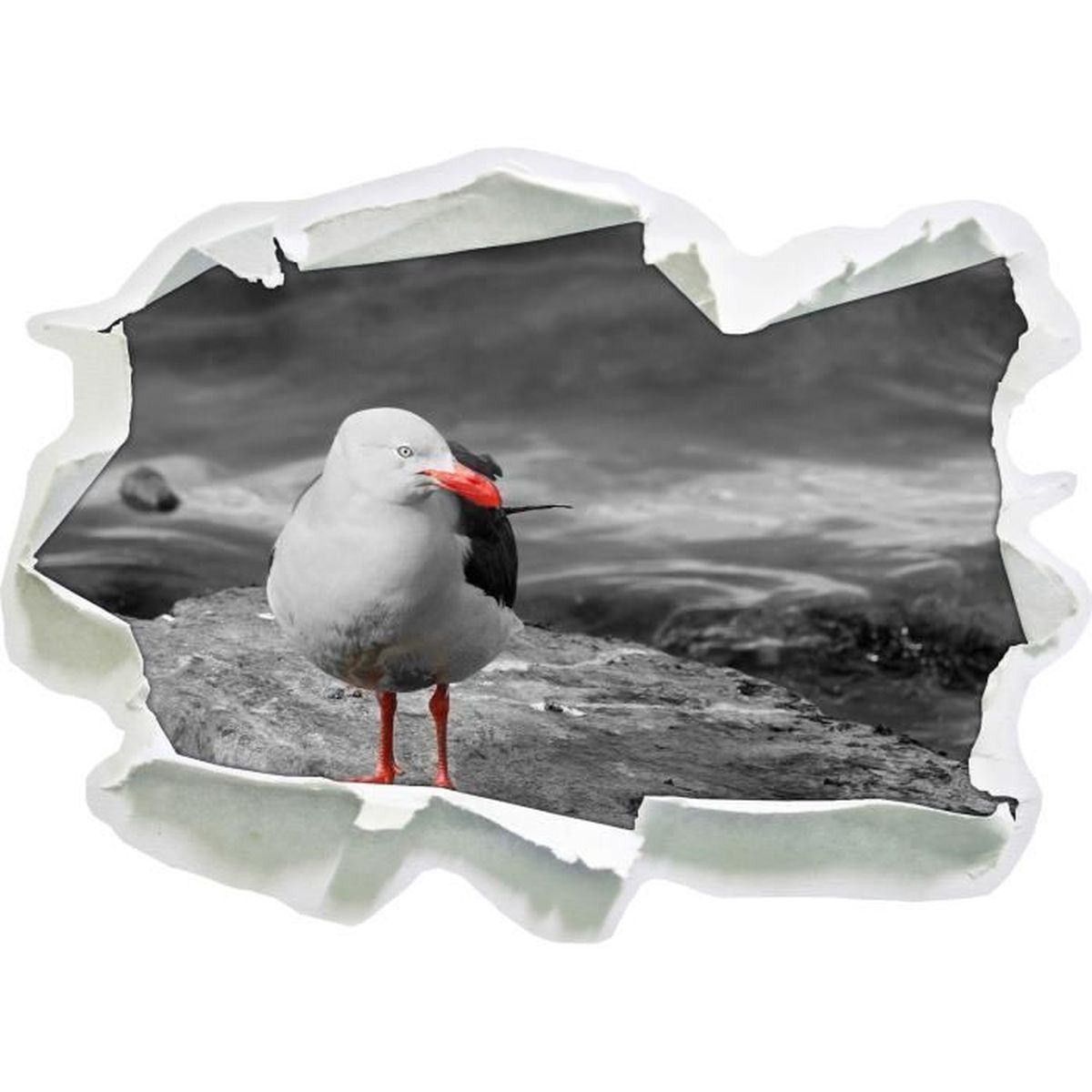 Petite mouette sur des rochers noir / blanc, mur 3d de la taille ...