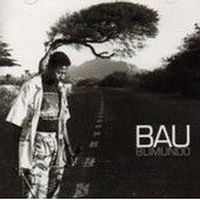 MUSIQUE DU MONDE / REGGAE BAU