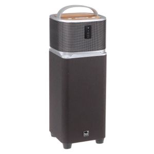 DUAL ELECTRONIC Tour enceinte 2 en 1 - Wifi / Bluetooth - 30 W - Autonomie 6h
