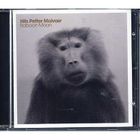 JAZZ BLUES Baboon moon