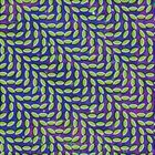 VARIETE INTERNATIONALE ANIMAL COLLECTIVE