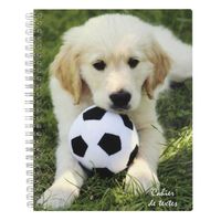 CLAIRE FONTAINE Cahier de Textes Spiralé Chien CLAIRE FONTAINE Cahier de Textes Spiralé Chien