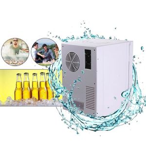 Mini Frigo réfrigérateur électrique