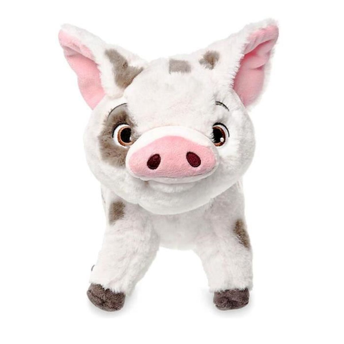 cochon vaiana peluche