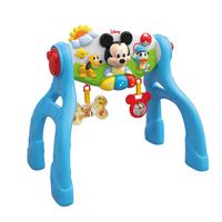 Disney baby Activity Gym Disney baby Activity Gym