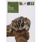 NATURE / ANIMAUX Le sugar glider