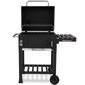 barbecue charbon grande surface