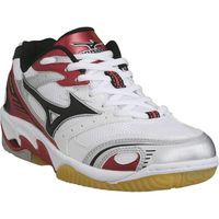 CHAUSSURES VOLLEY-BALL MIZUNO Twister Homme