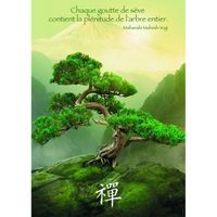 NATHAN - 87466 - PUZZLE - AFFICHE MOTIF BONSAÏ … NATHAN - 87466 - PUZZLE - AFFICHE MOTIF BONSAÏ …