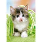 PUZZLE Puzzle 260 pièces - Chaton sous la couverture