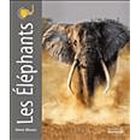 PORTRAITS D'ANIMAUX ; LES ELEPHANTS