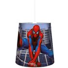  Suspension Spiderman