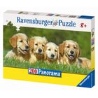 PUZZLE Puzzle 4 Petits Labradors 200 Pièces XXL