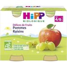 DESSERT-GOUTER BEBE HIPP Pots Pommes Raisins - Dès 4 mois