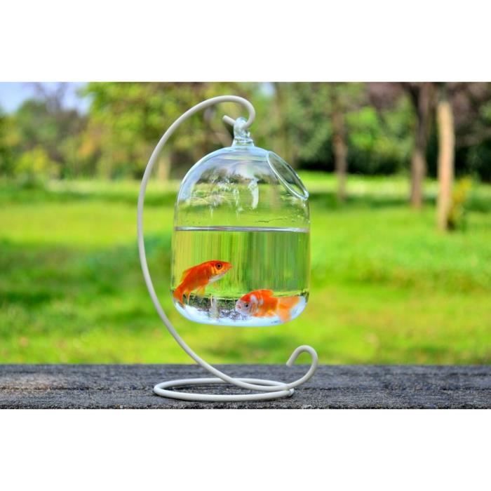 Aquarium bocal à poisson en verre à suspension Bulle Réservoir pour Poisson Rouge (Support non