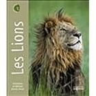  PORTRAITS D'ANIMAUX ; LES LIONS