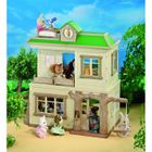 UNIVERS MINIATURE COMPLET Ecole St John Sylvanian