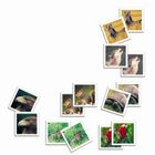 APPAREIL PHOTO ENFANT Mémo Photo animaux