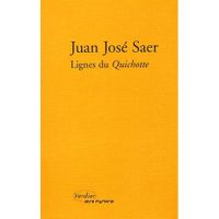 LITTERATURE - ROMANS LIGNES DE FORCE DU QUICHOTTE