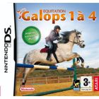 DS EQUITATION