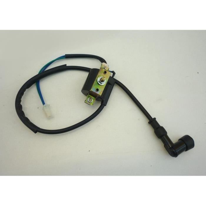 Kit Bobine D'allumage CDI + Unité CDI Aramox - Pour Quad, Dirt Bike, Moteur GY6 125cc 150cc 250cc
