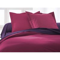 TAIE OREILLER - TAIE TRAVERSIN  Taie Oreiller 75x75 JUS DE MYRTILLE
