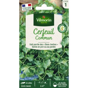 VILMORIN Cerfeuil commun