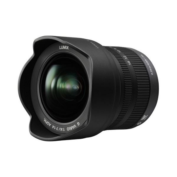 panasonic lumix g vario 7 14