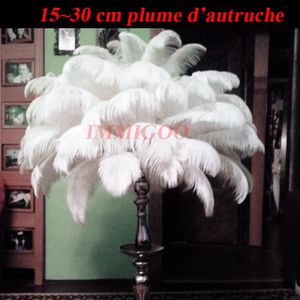 Plumes d autruche - Achat / Vente Plumes d autruche pas ...