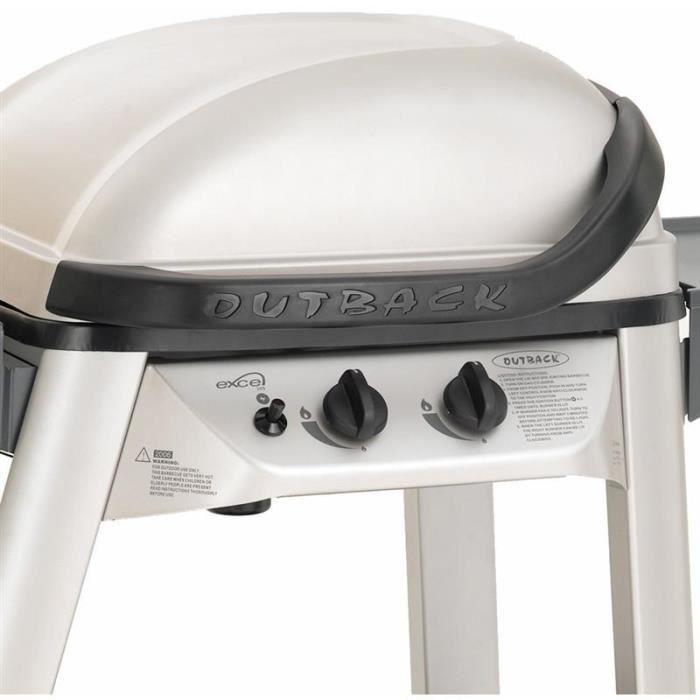 barbecue gaz excel 300