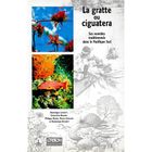 SANTE / FAMILLE / VIE PRATIQUE La gratte ou ciguatera ; ses remèdes traditionn...