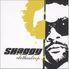  SHAGGY
