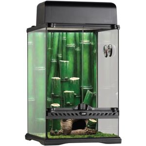 EXO TERRA Terrarium équipé Bamboo Forest S - Pour reptiles