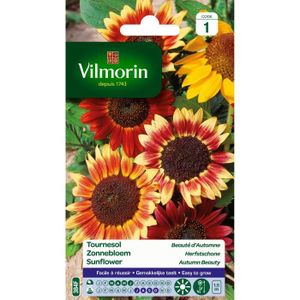 VILMORIN Tournesol Beauté d?automne