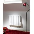 RADIATEUR - PANNEAU ACOVA COTONA 750 watts Radiateur à inertie fluide