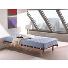 MATELAS Matelas 70x140 mousse bleu