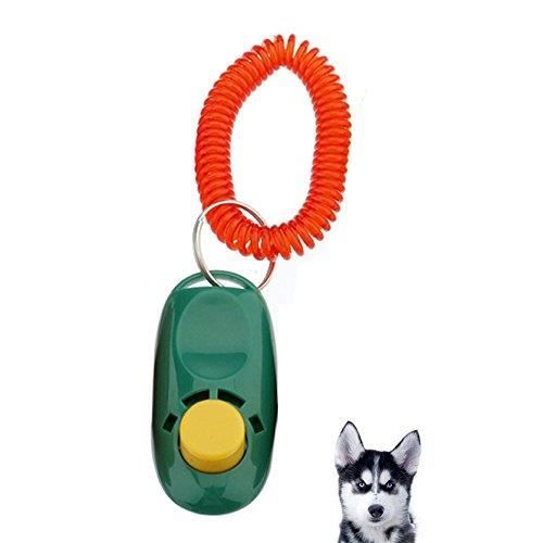 Clicker Training Dressage pour Animaux Chien éducation Clicker Training Dressage pour Animaux Chien éducation